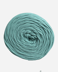 Mint Macaron
