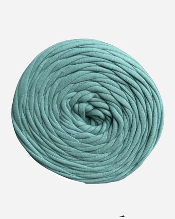 Mint Macaron